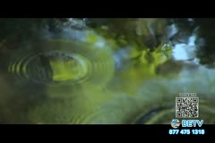 TV Content Image